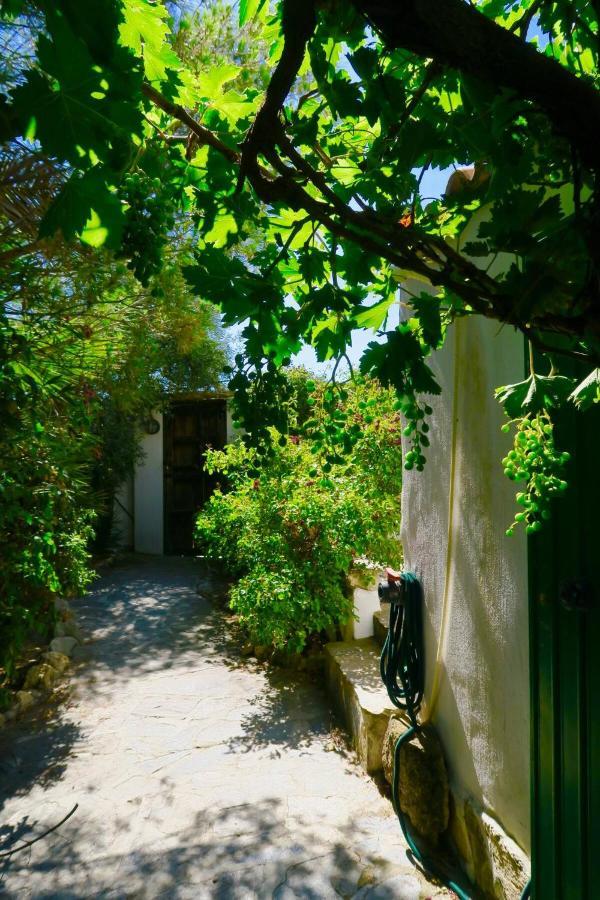 Cortijo Paraiso Charcon Higuera Exterior foto