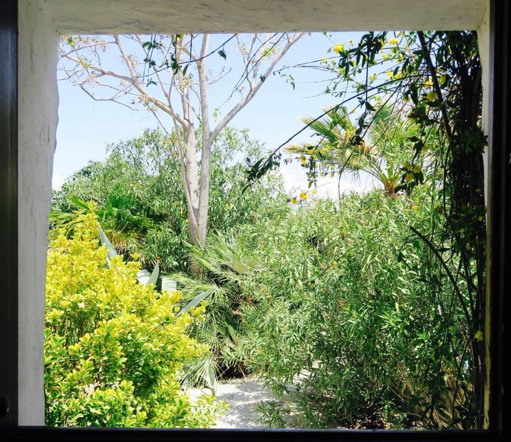 Cortijo Paraiso Charcon Higuera Exterior foto